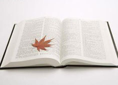 尼克斯主场豪取胜利挣脱连败