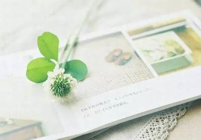 摩纳哥主场失利，连续两场不胜