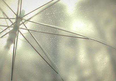 夺得胜利的球队庆祝欢声笑语