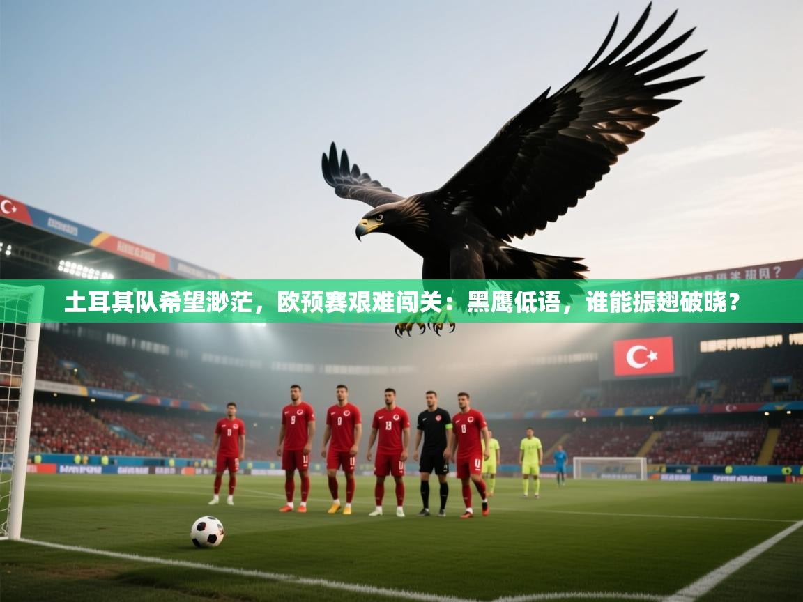 土耳其队希望渺茫，欧预赛艰难闯关：黑鹰低语，谁能振翅破晓？  第1张