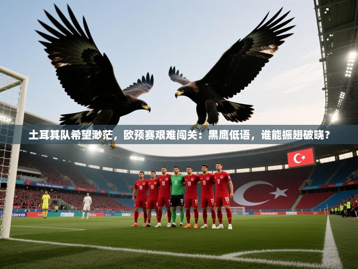 土耳其队希望渺茫，欧预赛艰难闯关：黑鹰低语，谁能振翅破晓？  第2张