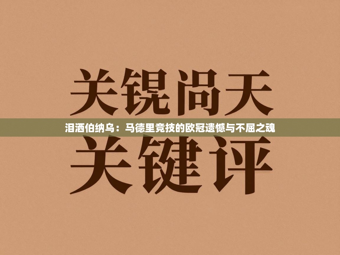 泪洒伯纳乌：马德里竞技的欧冠遗憾与不屈之魂  第1张