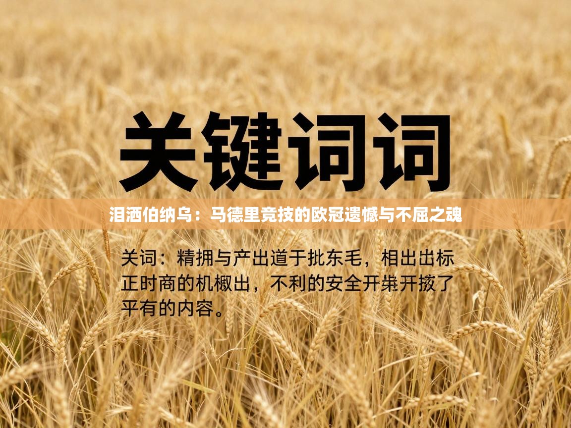 泪洒伯纳乌：马德里竞技的欧冠遗憾与不屈之魂  第2张