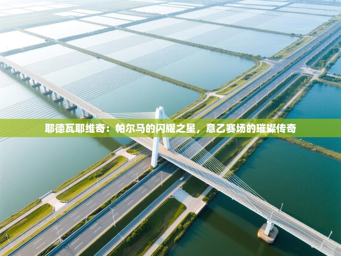 耶德瓦耶维奇：帕尔马的闪耀之星，意乙赛场的璀璨传奇  第2张