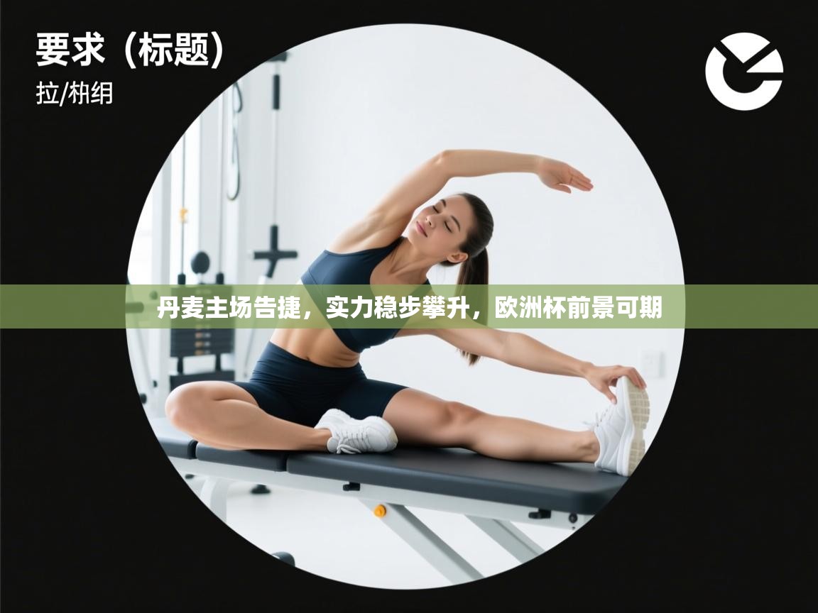 丹麦主场告捷，实力稳步攀升，欧洲杯前景可期  第2张